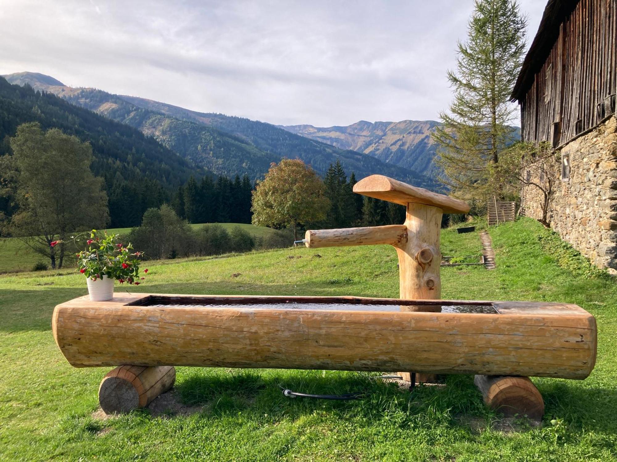 Schaffergut Appartements Donnersbachwald Zewnętrze zdjęcie
