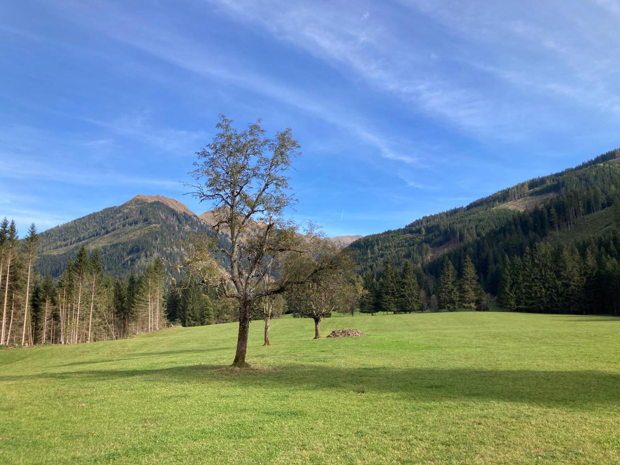 Schaffergut Appartements Donnersbachwald Zewnętrze zdjęcie