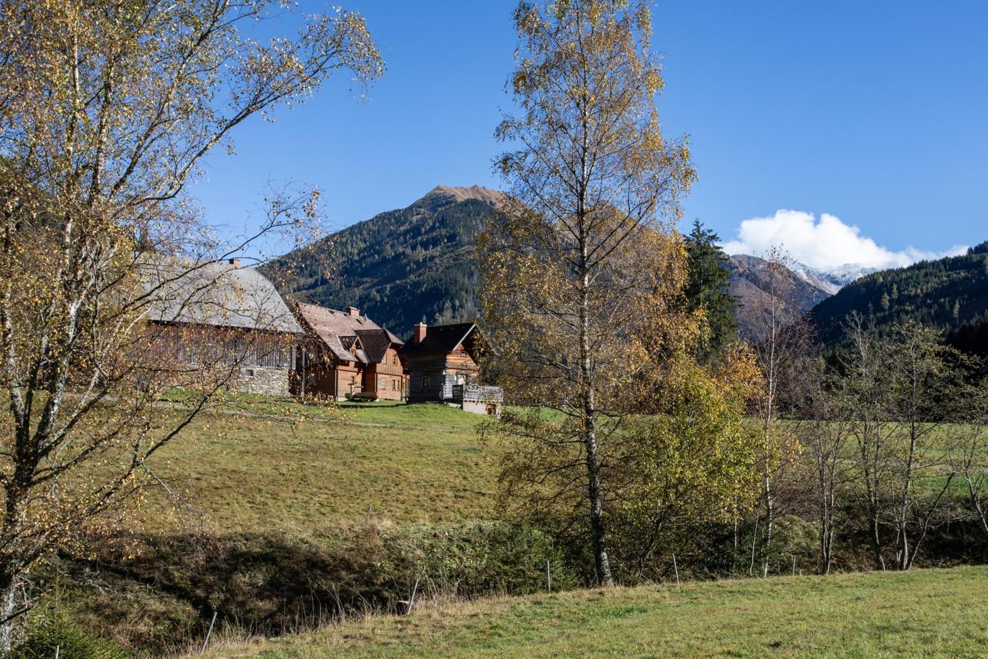 Schaffergut Appartements Donnersbachwald Zewnętrze zdjęcie
