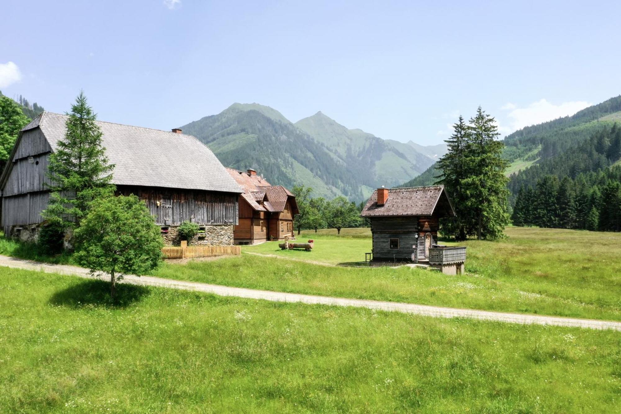 Schaffergut Appartements Donnersbachwald Zewnętrze zdjęcie